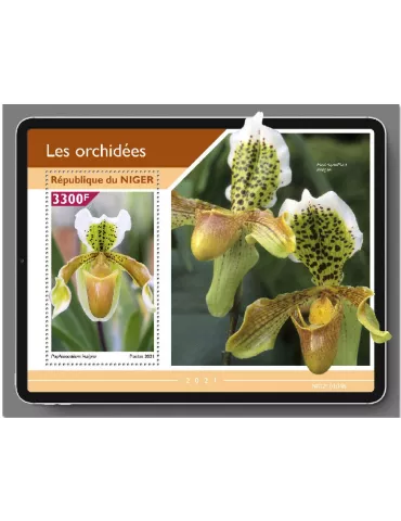 n° 1203  - Timbre NIGER Blocs et feuillets