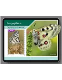 n° 1206  - Timbre NIGER Blocs et feuillets