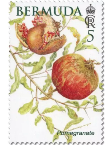 n° 1214/1219 - Timbre BERMUDES Poste