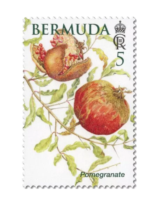 n° 1214/1219 - Timbre BERMUDES Poste