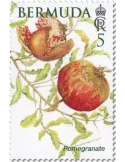n° 1214/1219 - Timbre BERMUDES Poste