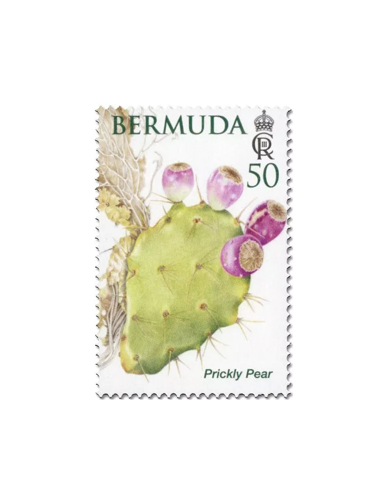 n° 1214/1219 - Timbre BERMUDES Poste