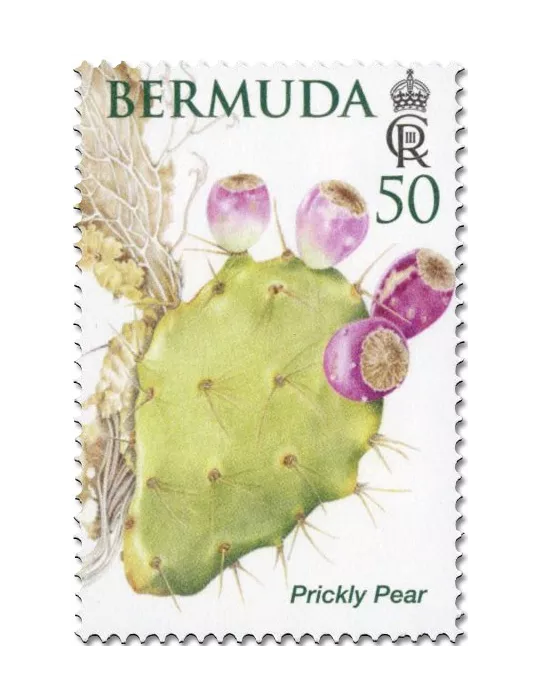 n° 1214/1219 - Timbre BERMUDES Poste