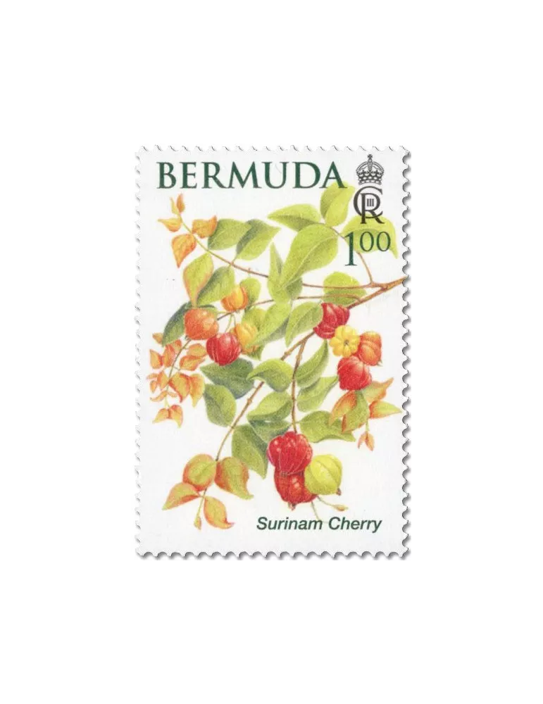 n° 1214/1219 - Timbre BERMUDES Poste