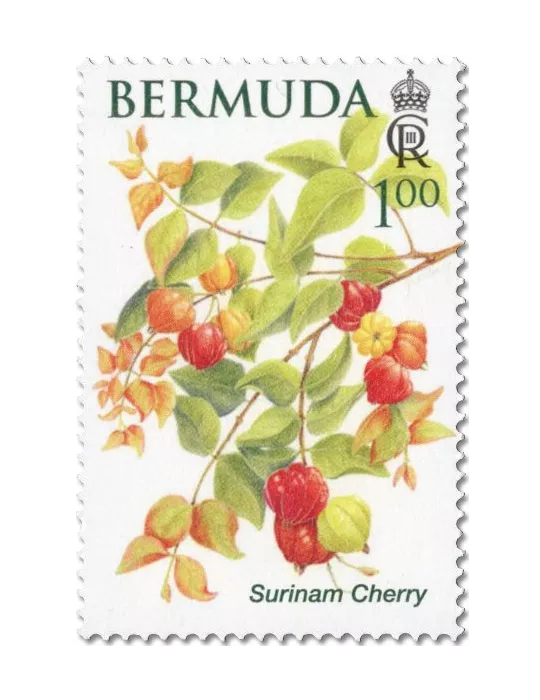 n° 1214/1219 - Timbre BERMUDES Poste