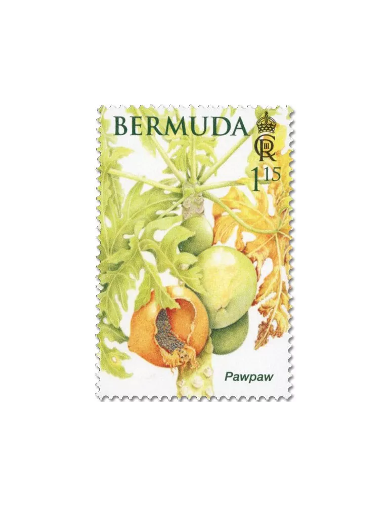 n° 1214/1219 - Timbre BERMUDES Poste