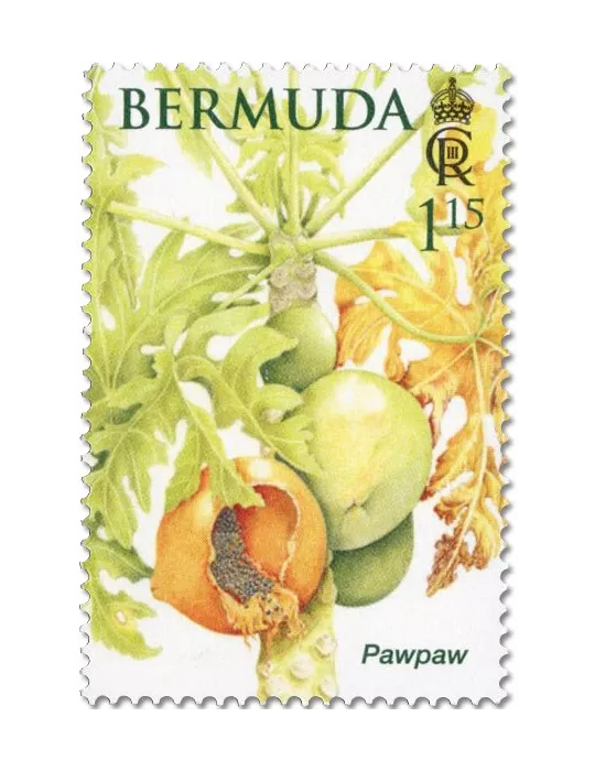 n° 1214/1219 - Timbre BERMUDES Poste