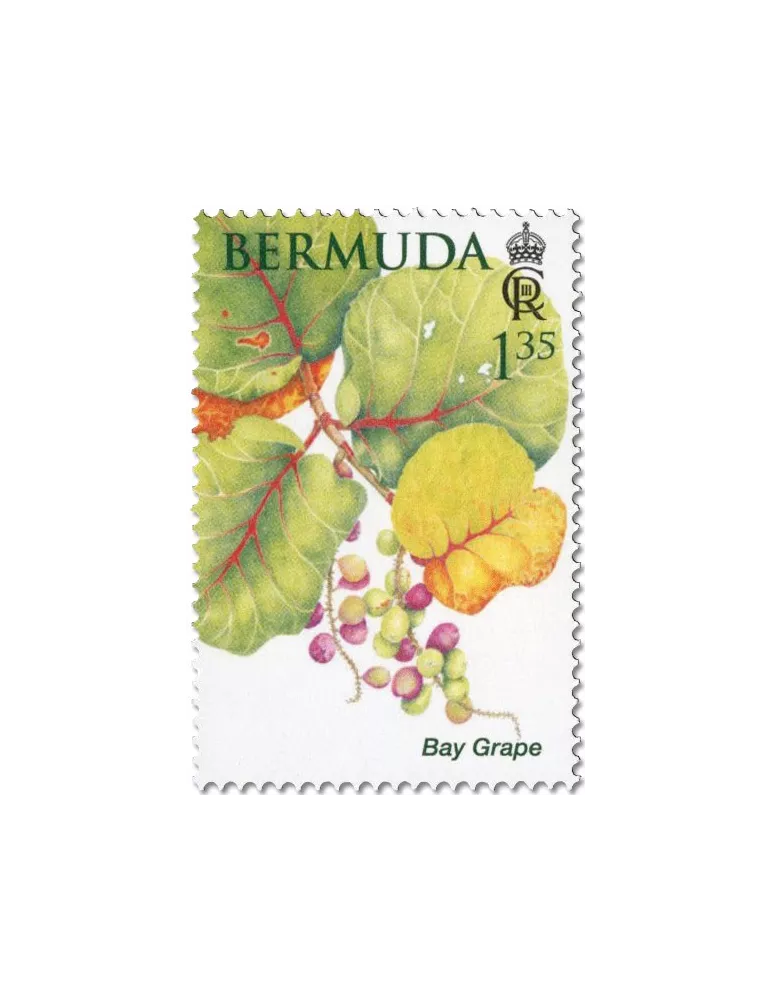 n° 1214/1219 - Timbre BERMUDES Poste