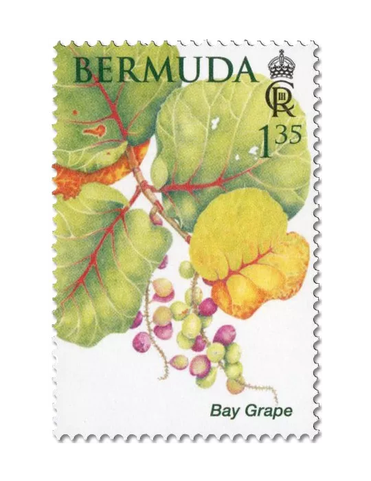 n° 1214/1219 - Timbre BERMUDES Poste