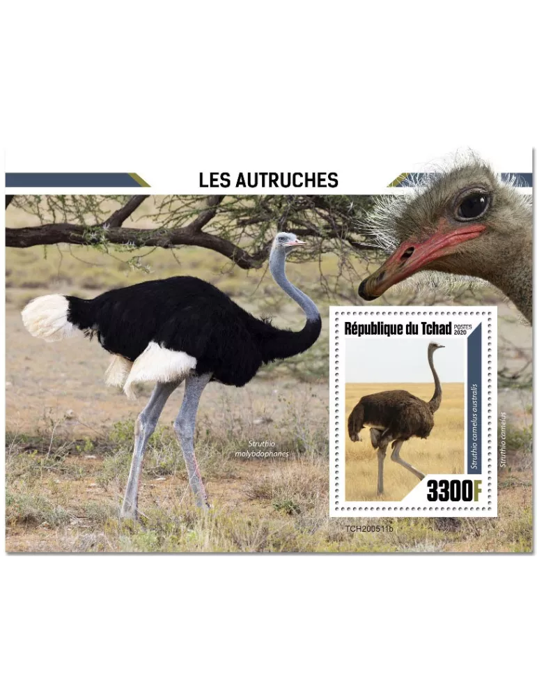 n° 376  - Timbre TCHAD Blocs et feuillets