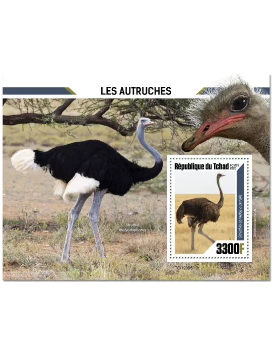 n° 376  - Timbre TCHAD Blocs et feuillets