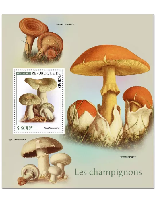 n° 421  - Timbre TCHAD Blocs et feuillets
