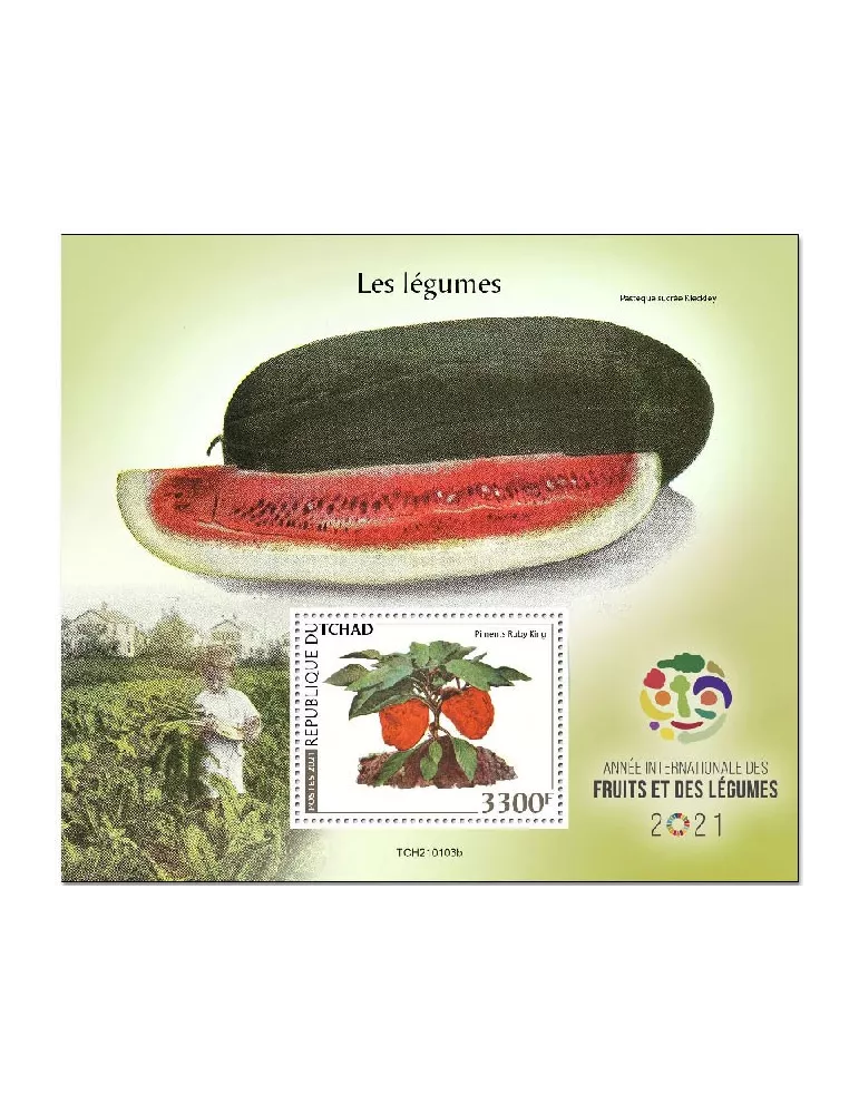 n° 423  - Timbre TCHAD Blocs et feuillets