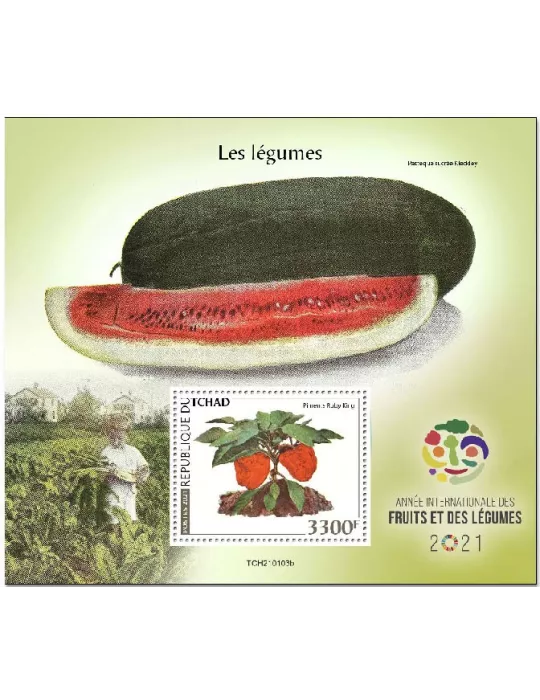 n° 423  - Timbre TCHAD Blocs et feuillets