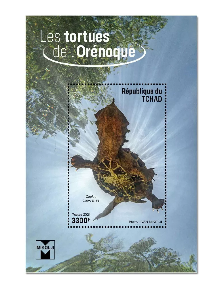n° 476  - Timbre TCHAD Blocs et feuillets