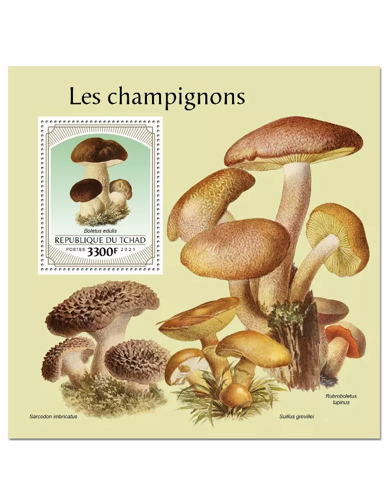 n° 498  - Timbre TCHAD Blocs et feuillets