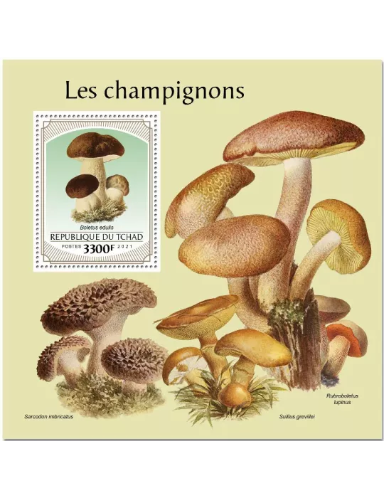 n° 498  - Timbre TCHAD Blocs et feuillets