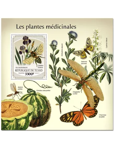 n° 500  - Timbre TCHAD Blocs et feuillets
