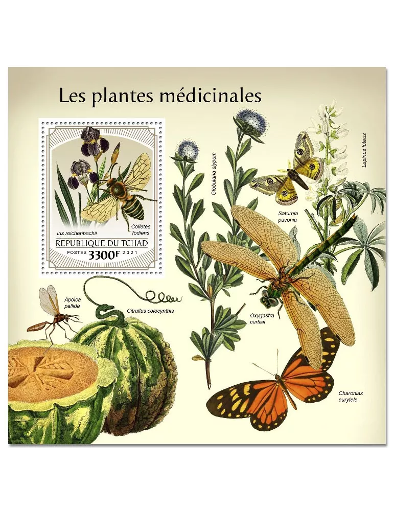 n° 500  - Timbre TCHAD Blocs et feuillets