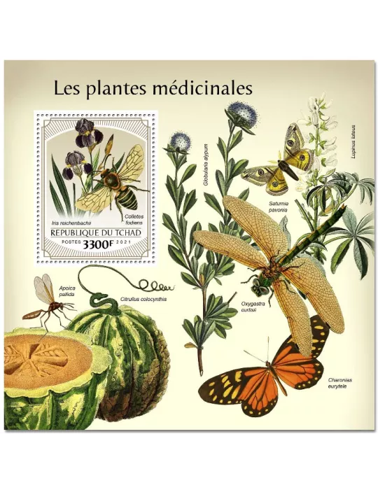 n° 500  - Timbre TCHAD Blocs et feuillets