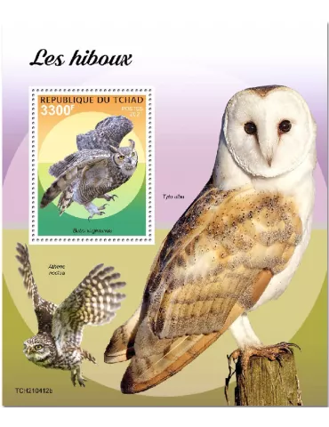 n° 556  - Timbre TCHAD Blocs et feuillets