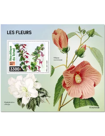 n° 585  - Timbre TCHAD Blocs et feuillets