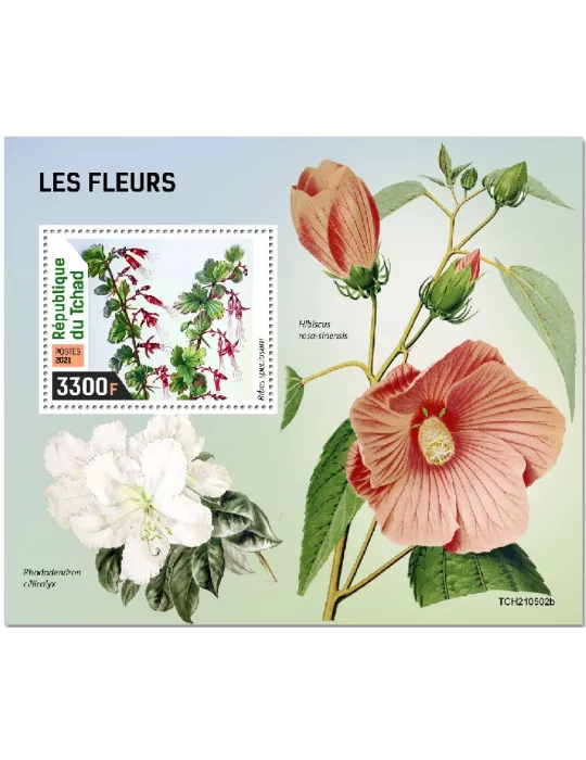 n° 585  - Timbre TCHAD Blocs et feuillets