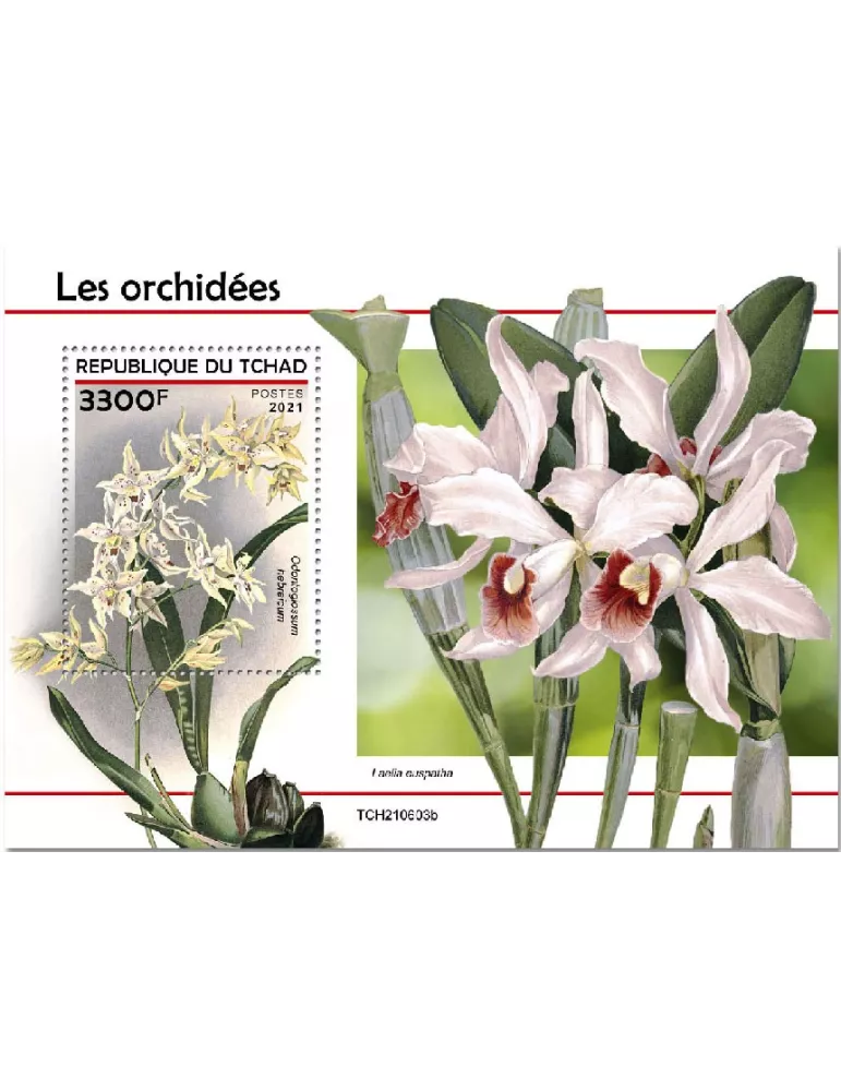n° 619  - Timbre TCHAD Blocs et feuillets