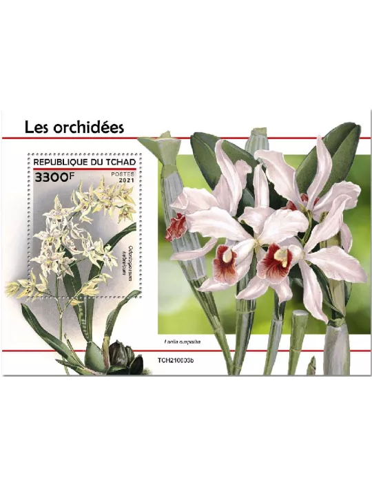 n° 619  - Timbre TCHAD Blocs et feuillets