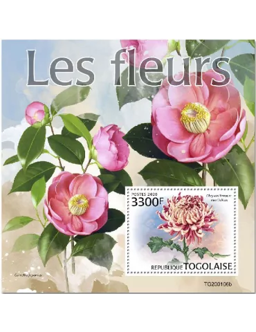 n° 1832  - Timbre TOGO Blocs et feuillets