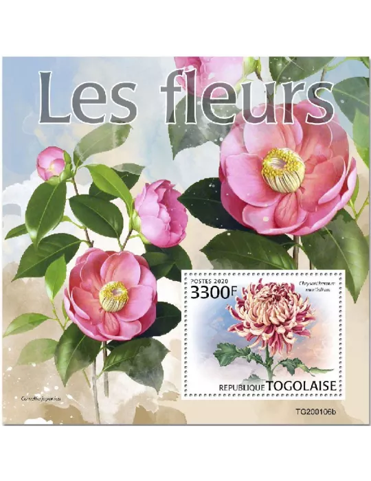 n° 1832  - Timbre TOGO Blocs et feuillets