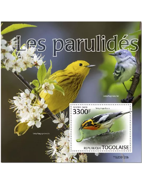 n° 1851  - Timbre TOGO Blocs et feuillets