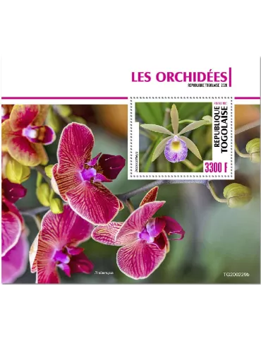 n° 1928  - Timbre TOGO Blocs et feuillets