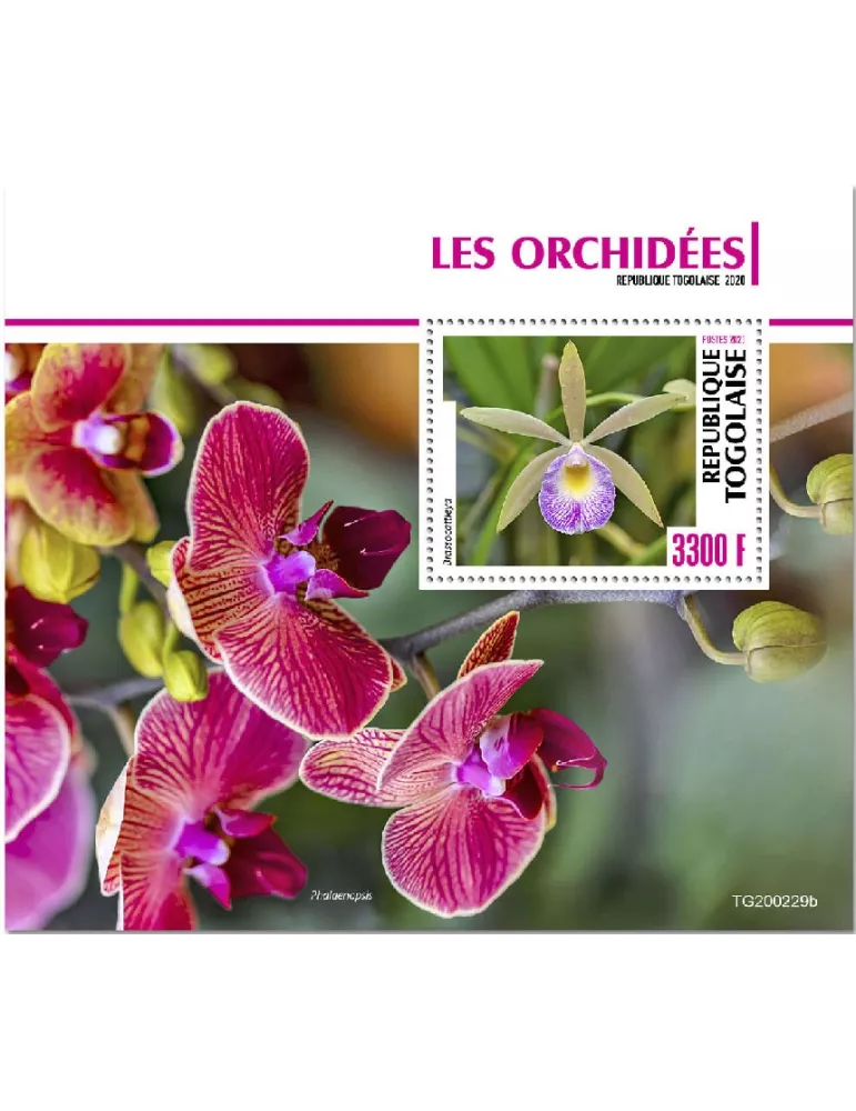 n° 1928  - Timbre TOGO Blocs et feuillets