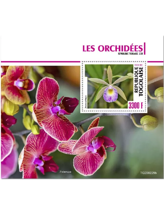 n° 1928  - Timbre TOGO Blocs et feuillets