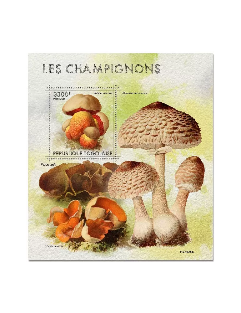 n° 2157  - Timbre TOGO Blocs et feuillets