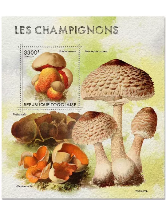 n° 2157  - Timbre TOGO Blocs et feuillets