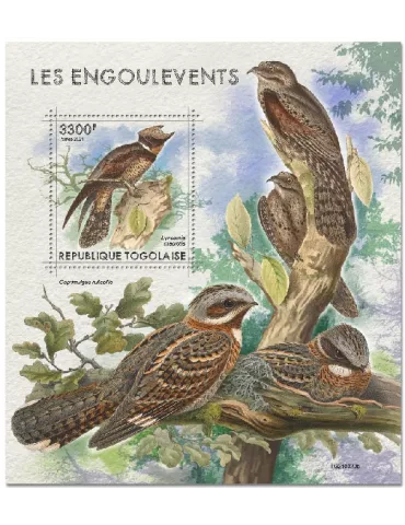 n° 2172  - Timbre TOGO Blocs et feuillets