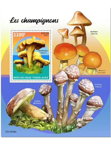 n° 2211  - Timbre TOGO Blocs et feuillets