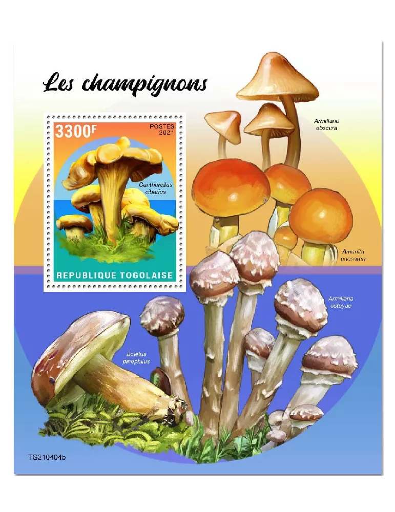 n° 2211  - Timbre TOGO Blocs et feuillets
