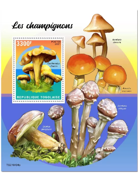 n° 2211  - Timbre TOGO Blocs et feuillets