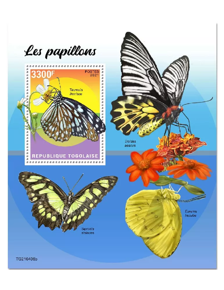 n° 2213  - Timbre TOGO Blocs et feuillets