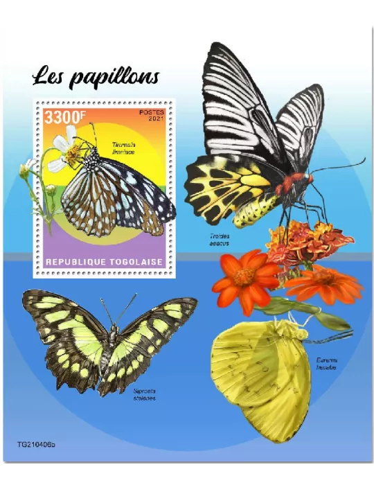 n° 2213  - Timbre TOGO Blocs et feuillets