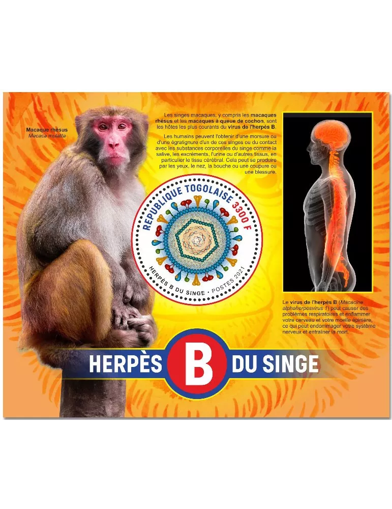 n° 2241  - Timbre TOGO Blocs et feuillets