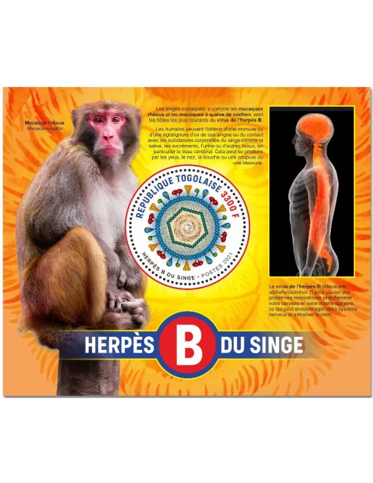 n° 2241  - Timbre TOGO Blocs et feuillets