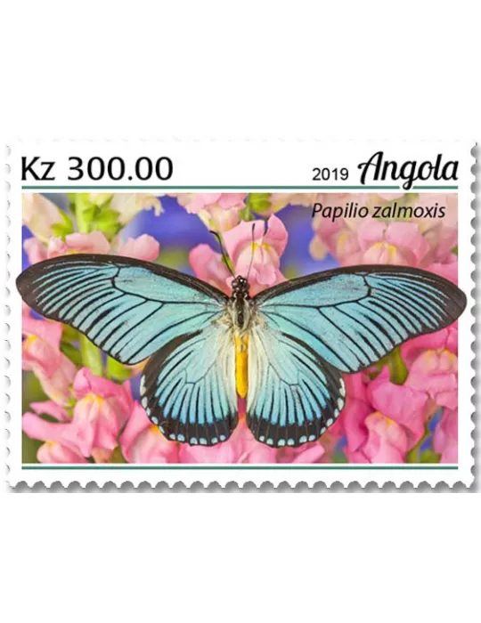 n° 1985/1988  - Timbre ANGOLA Poste