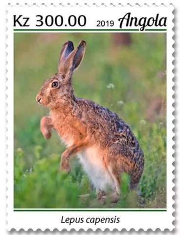 n° 2001/2004  - Timbre ANGOLA Poste 2