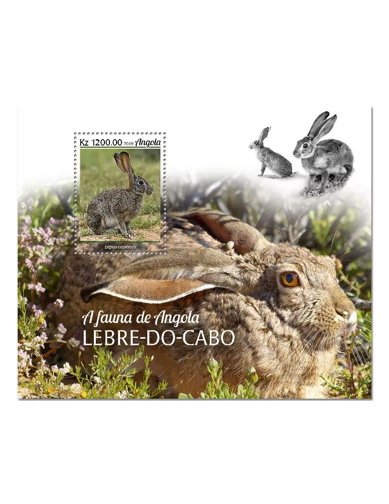 n° 217  - Timbre ANGOLA Blocs et feuillets