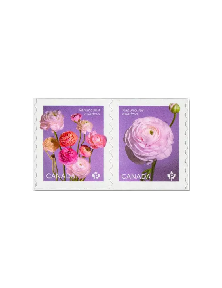 n° 3872/3873 - Timbre CANADA Poste
