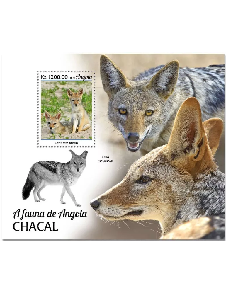 n° 221  - Timbre ANGOLA Blocs et feuillets